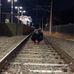 Hayden Willis - Facebook