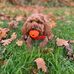 Hayden Willis - Facebook