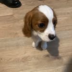 Haydn Thomas - @haydn8166 - Instagram