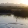 hayleebennett0 - @hayleebennett0 - TikTok