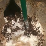 Haylee Hunter - @hhs6825 - Instagram