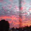 hayleejacobs17 - @hayleejacobs17 - TikTok