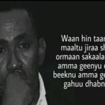 Wîz Häylëë Mâñ - Facebook