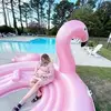 hayleemitchell649 - @hayleemitchell649 - TikTok