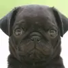 user4346300474732 - @haylee_wallace16 - TikTok