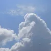 Hailey Young - @hailey11._ - TikTok
