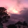 Hayley Young - @hayley.young109 - TikTok