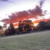 hayley - @hayleybaxter71 - TikTok