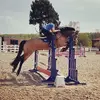 Hayley Bell - @hayleybell22 - TikTok