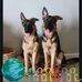 Haylie Burrell - Facebook