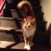 hayley_doherty - @hayley_doherty - TikTok