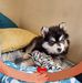 Hailee Dutton - Facebook