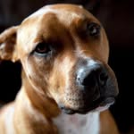 Hayley Egan - @myjourneyhails - Instagram