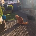 Hayley Graham - @hayley.graham.50 - Instagram
