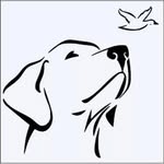 Hayley Graham - @abijax_labradors - Instagram