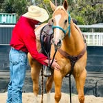 Hayley James - @circle_j_horsemanship - Instagram