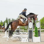 Haley Kendrick - @haleequestrian - Instagram