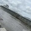 hayleykendrick63 - @ellie.saylor6 - TikTok