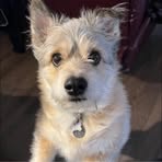 Hailey Luke - Facebook