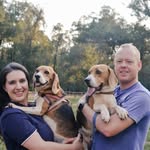 Hayley & Luke - @lifewithourbeagles - Instagram