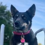 Hayley Maher - @hyper_hayley - Instagram