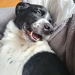 Hayley Maher - @hayley.maher.77 - Instagram