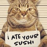 hayley.mathis813 - @hayley.mathis813 - Instagram