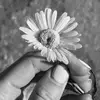 hayleymueller199 - @hayleymueller199 - TikTok