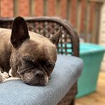 Hayley Nash - @nash_pack_ - Instagram