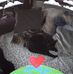 Hayley Raynor - Facebook