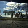 hailey schaefer - @haileyyschaefer - TikTok