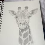 Hailey Sisson - @hail_sisson.made - Instagram