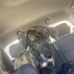 Haylee Tull - Facebook