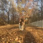 Hayley Tullock - Facebook