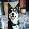 hayleyvickers858 - @hayleyvickers858 - TikTok