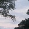 Hayley_Weaver-13 - @hayley_weaver13 - TikTok