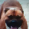 hailey.whitehead2 - @hailey.whitehead.2 - TikTok