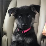 Haylie Brown - @marley_is__awesome_ - Instagram