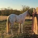 Haylee Mae - Facebook
