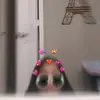 Hazel - @hazel_abraham1 - TikTok