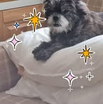 Hazel Allen - Facebook