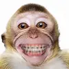 h - @hazelanthonys - TikTok