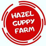HAZEL ANTHONY SUSANTO - @hazelguppy_farm - Instagram