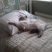 Hazel Armstrong - Facebook