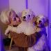 Hazel Armstrong - Facebook