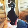Hazel Armstrong - @hazel.armstrong6 - TikTok