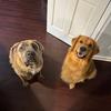 Hazel-Arthur - @hazel_baddie_arthur - TikTok