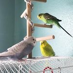 Hazel, Arthur, & Gerard - @stimky_hazel_arthur_gerard - Instagram
