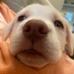 Hazel Nut Arthur - @hazel_nut_a_22 - Instagram