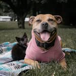 Hazel & Asher - @hazelandasher - Instagram